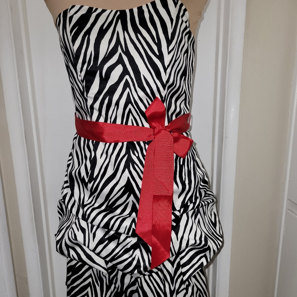Wishes wishes wishes Dress